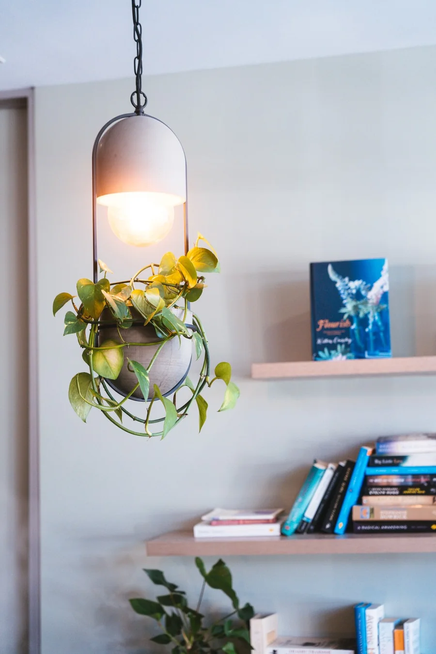 Inside Southside Dental Toowoomba — a bright, modern dental studio with hanging plants